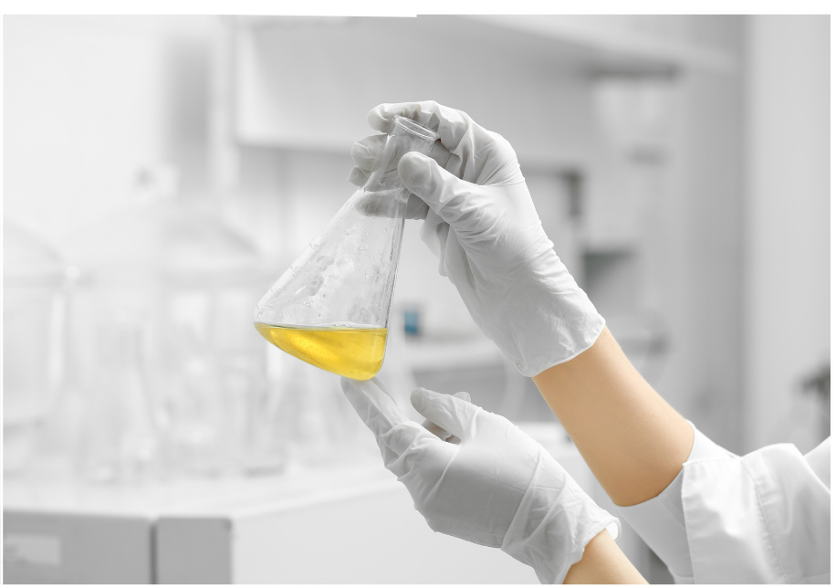 Başlangıç Formülleri